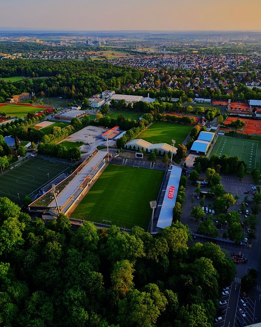 时的一种自 时的一种自